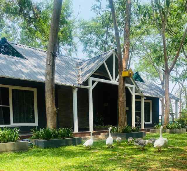 Silverscape Farmstay, Jayapura, Mysuru Karnataka | video