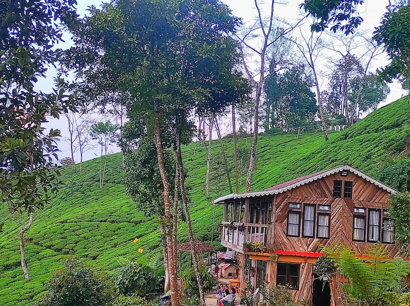 Peacekeeper Homestay, Darjeeling West Bengal | video