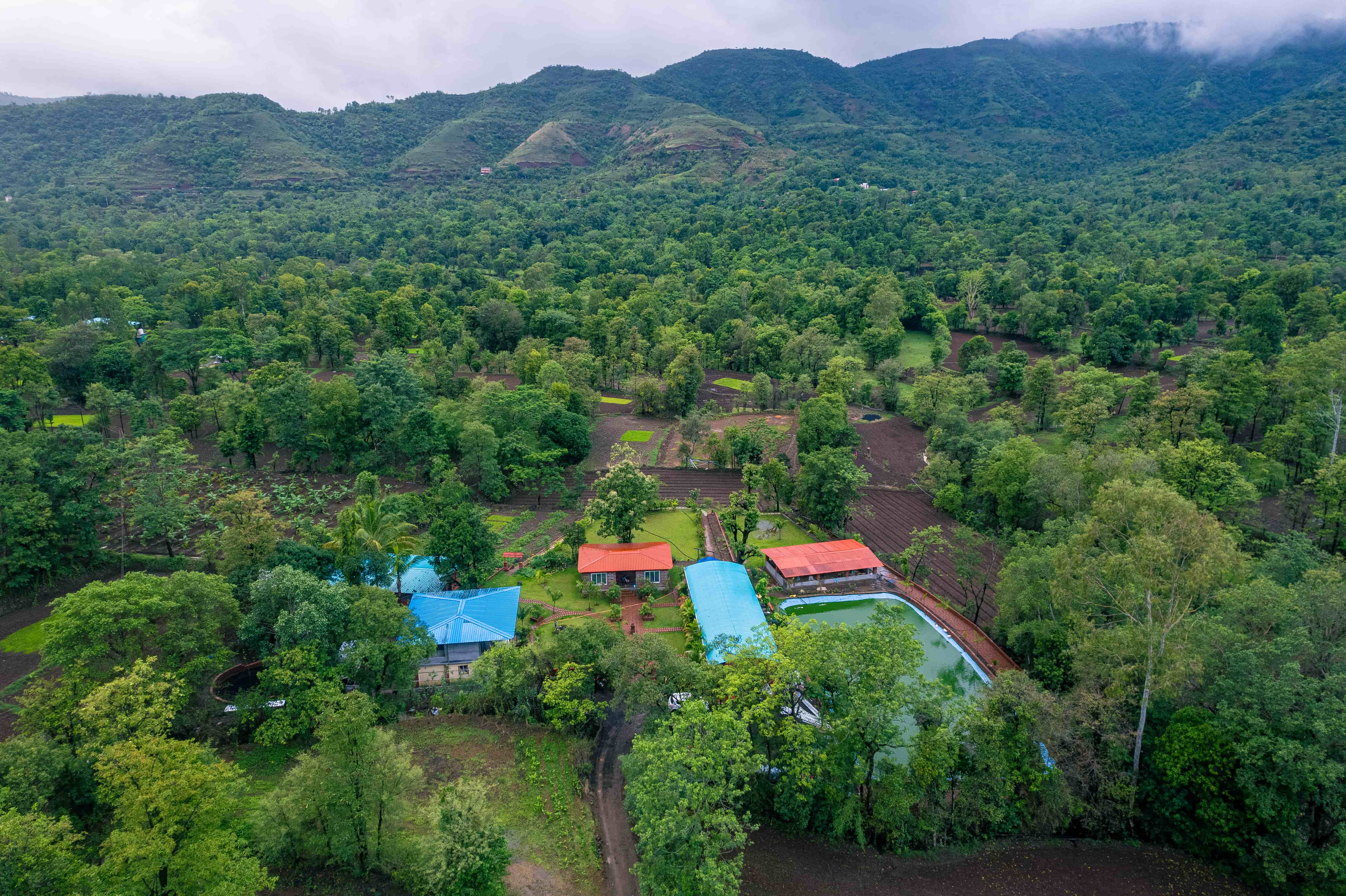 Nature Farmstay, Mahabaleshwar Maharashtra | video