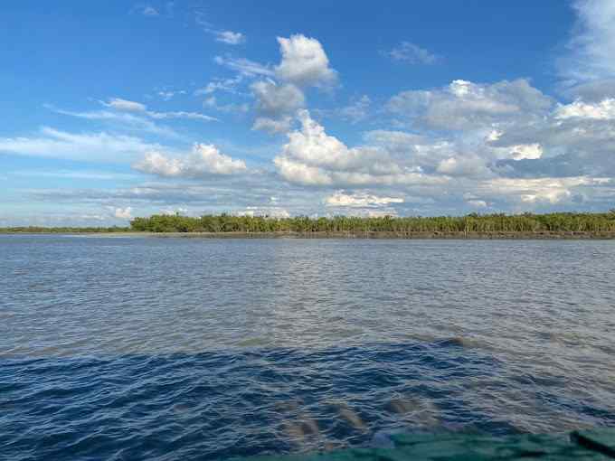 Sundarban Retreat-image-1