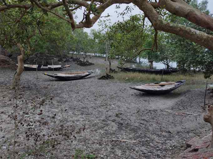 Sundarban Retreat-image-2