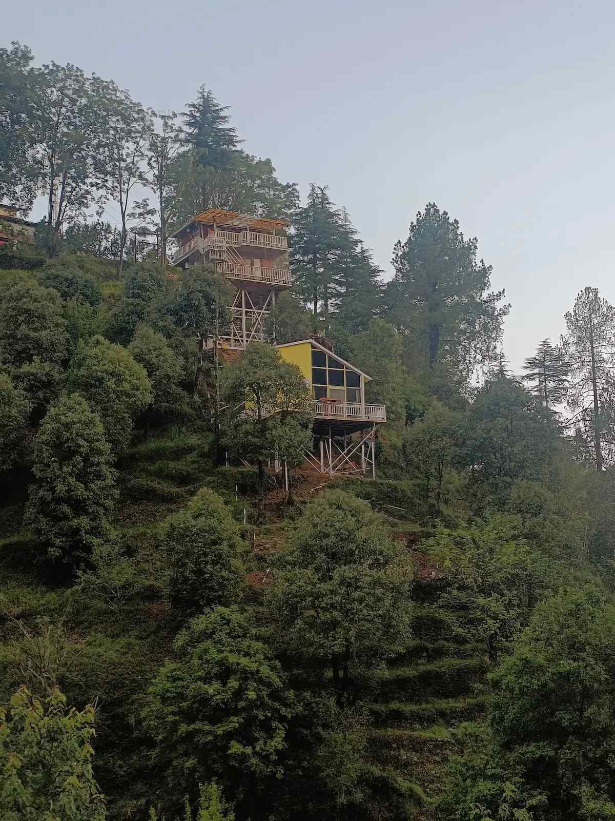 Cliff Treehouse, Ramgarh, Uttarakhand