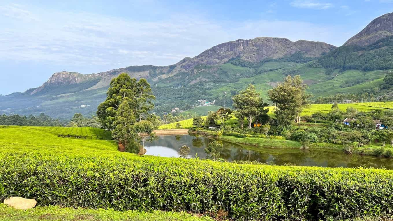 Botanical Bunkhouse Munnar-image-2