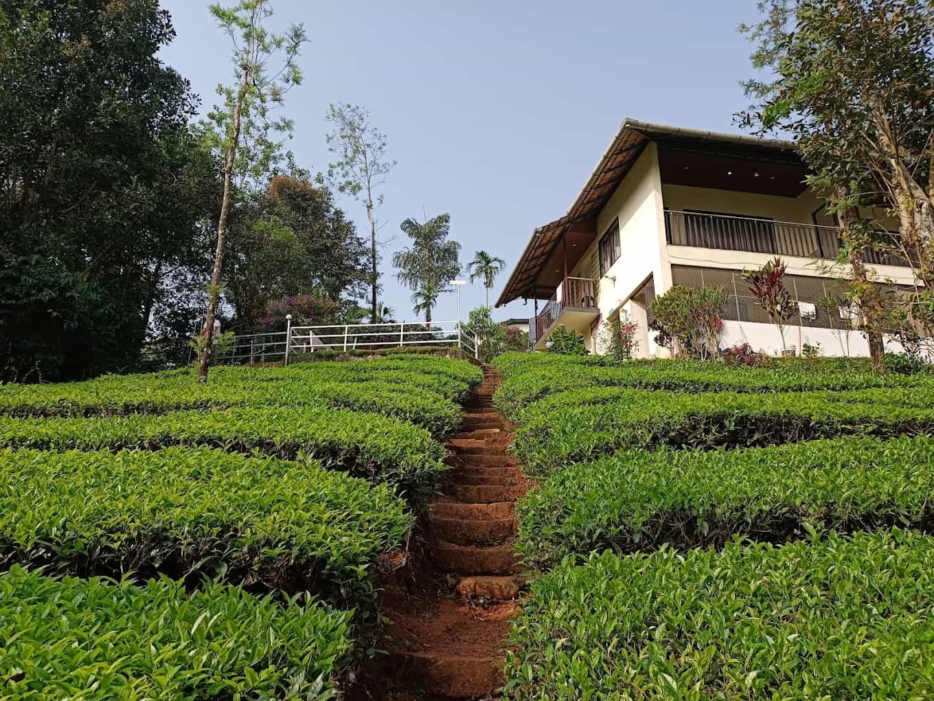 Tea Planters Cottage-image-2