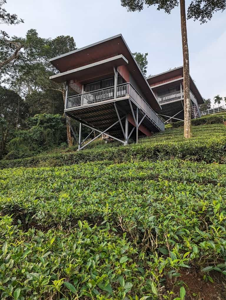 Tea Planters Cottage, Vythiri, Kerala