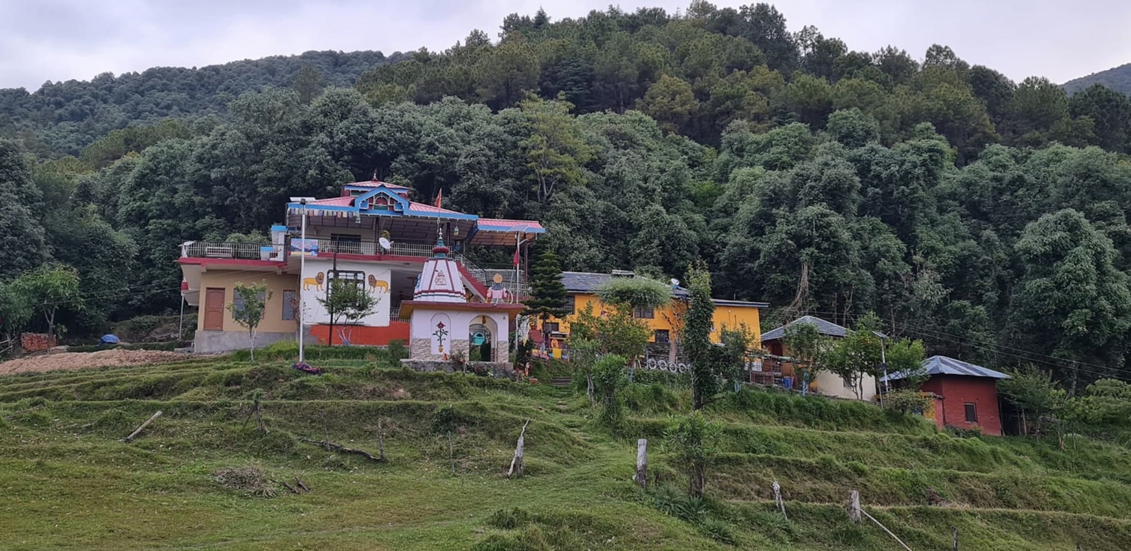 Hilltop Retreat, Palampur Himachal Pradesh | video