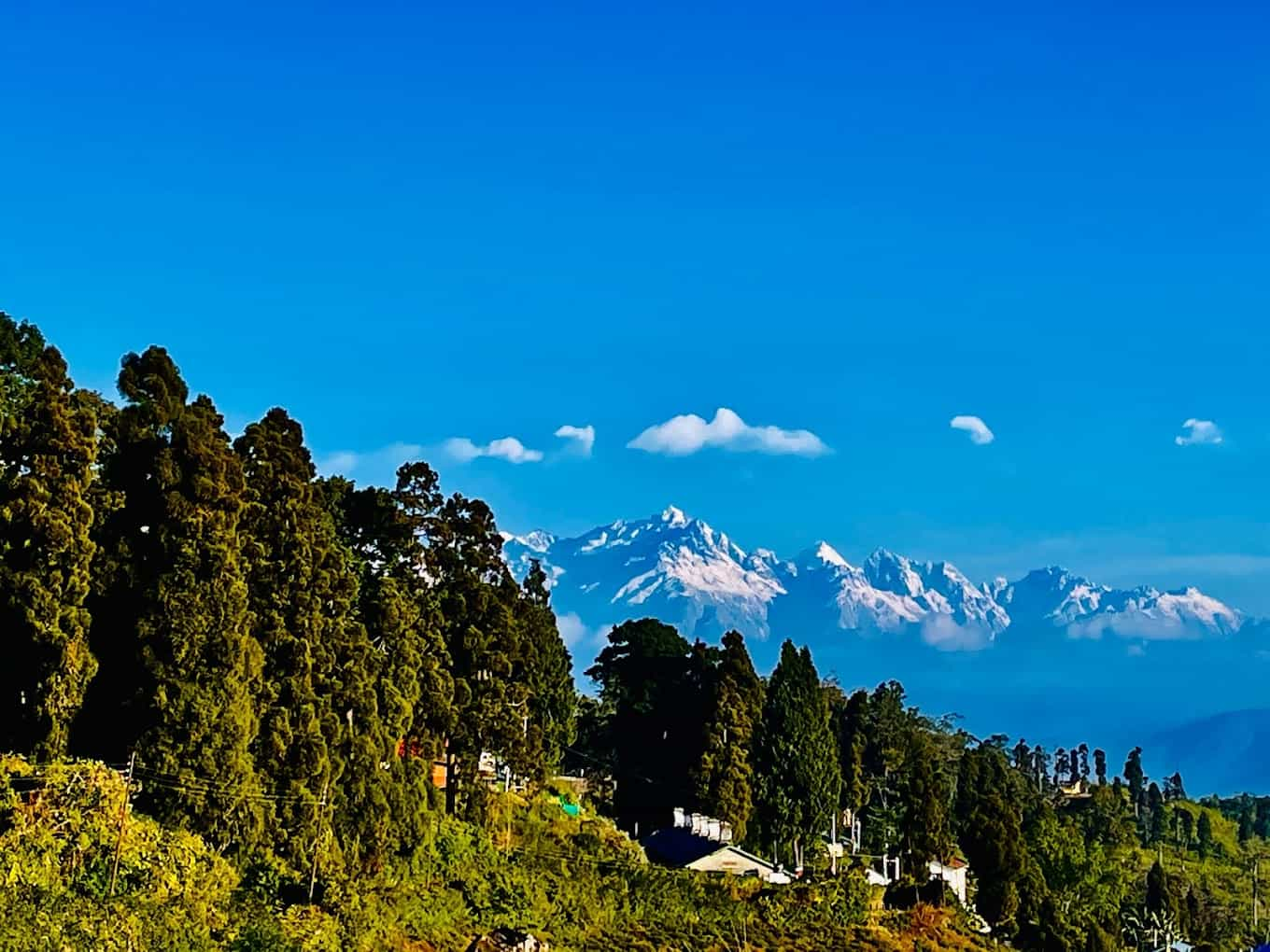 Himalayan Heights Farmstay-image-1