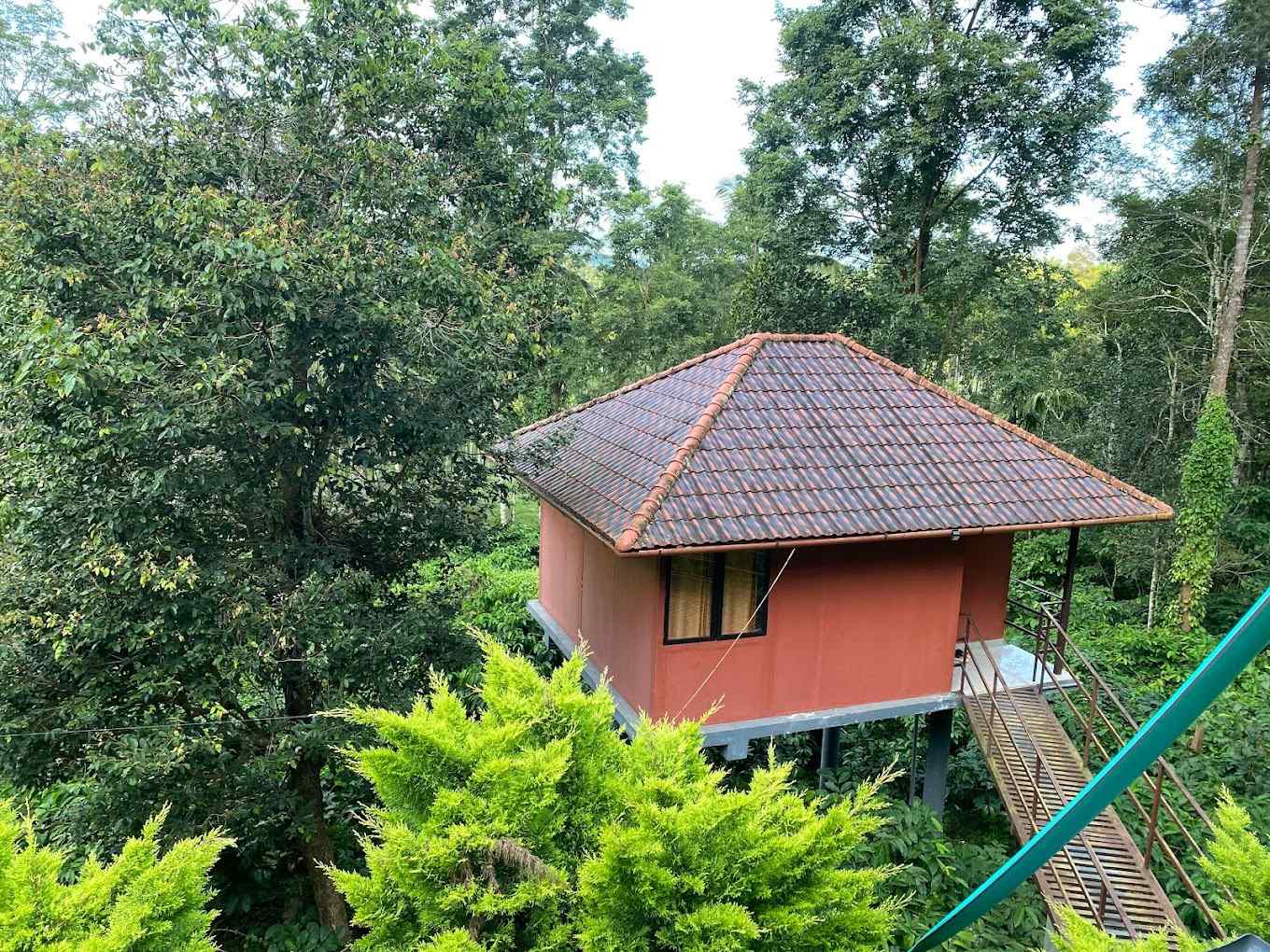 Wild Forest Cabin, Wayanad Kerala | video