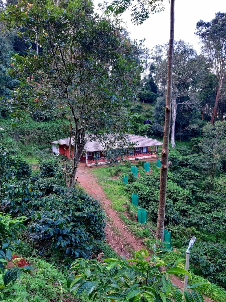 Coffee Haven Retreat, Wayanad Kerala | video