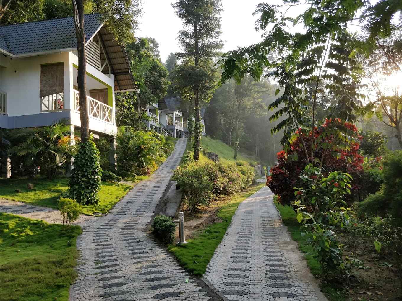 Rosewood Retreat, Kalpetta Kerala | video