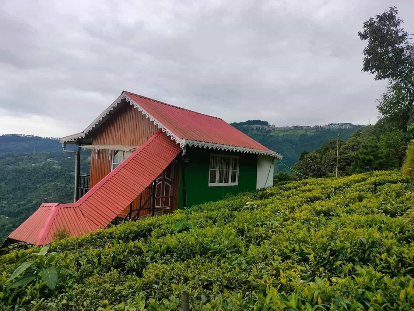 Nirvana Tea Retreat, Darjeeling, West Bengal