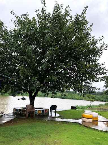 Lake Cabins-image-1