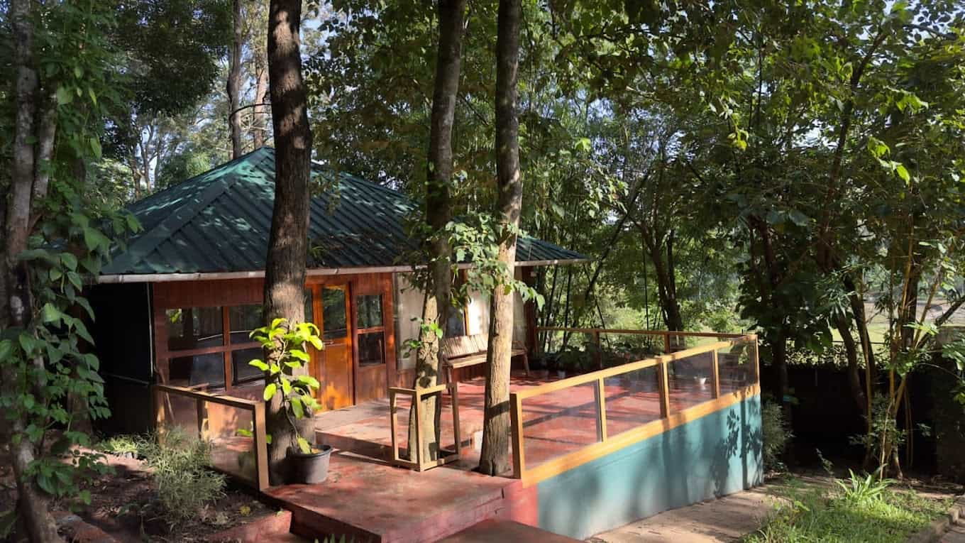 Jungle Hideaway, wayanad Kerala | video