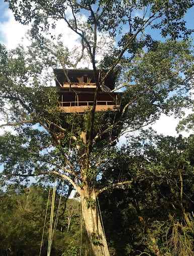 TreeTop Nest, Vythri Kerala | video