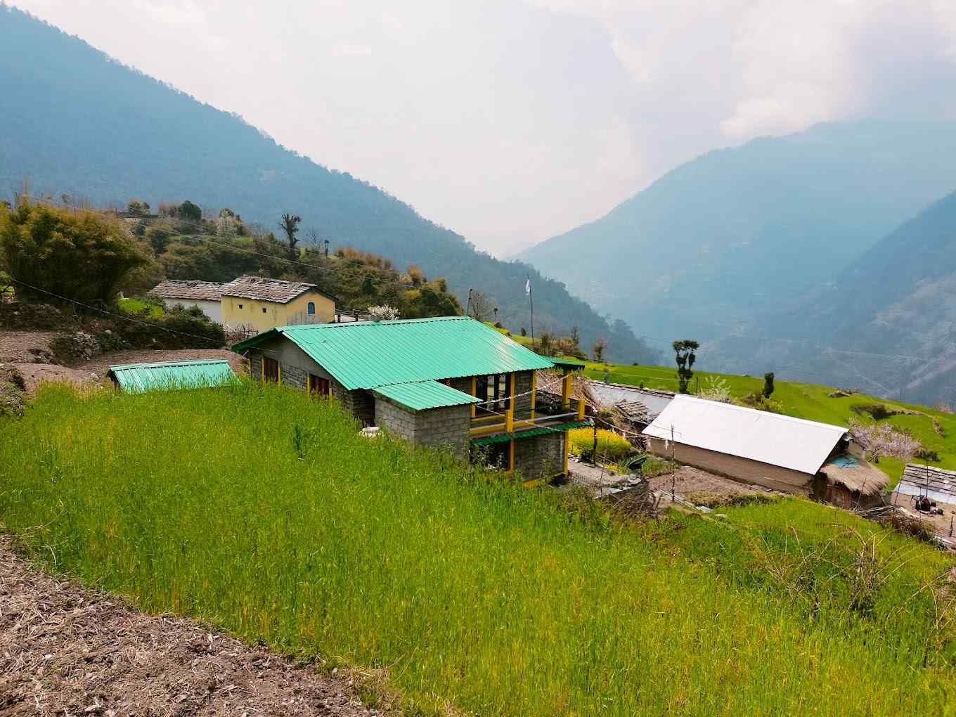 Glacier Homestay-image-1