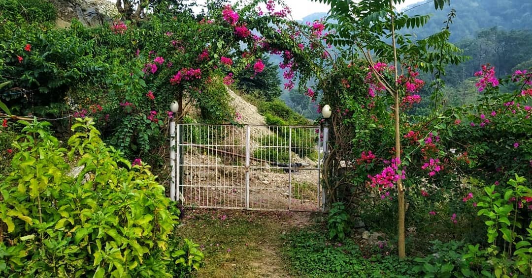 Tiger Reserve Woods, Corbett, Uttarakhand