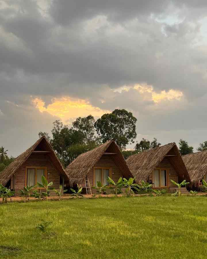 Palm Grove Hampi, Hampi Karnataka | video