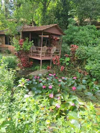 Wild Trails Retreat, Wayanad, Kerala