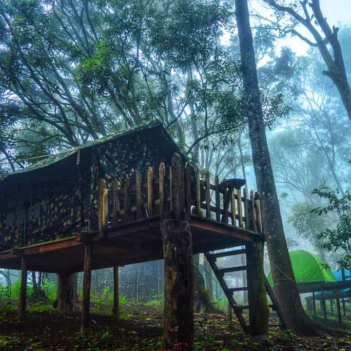 Cloud Camps, Munnar, Kerala