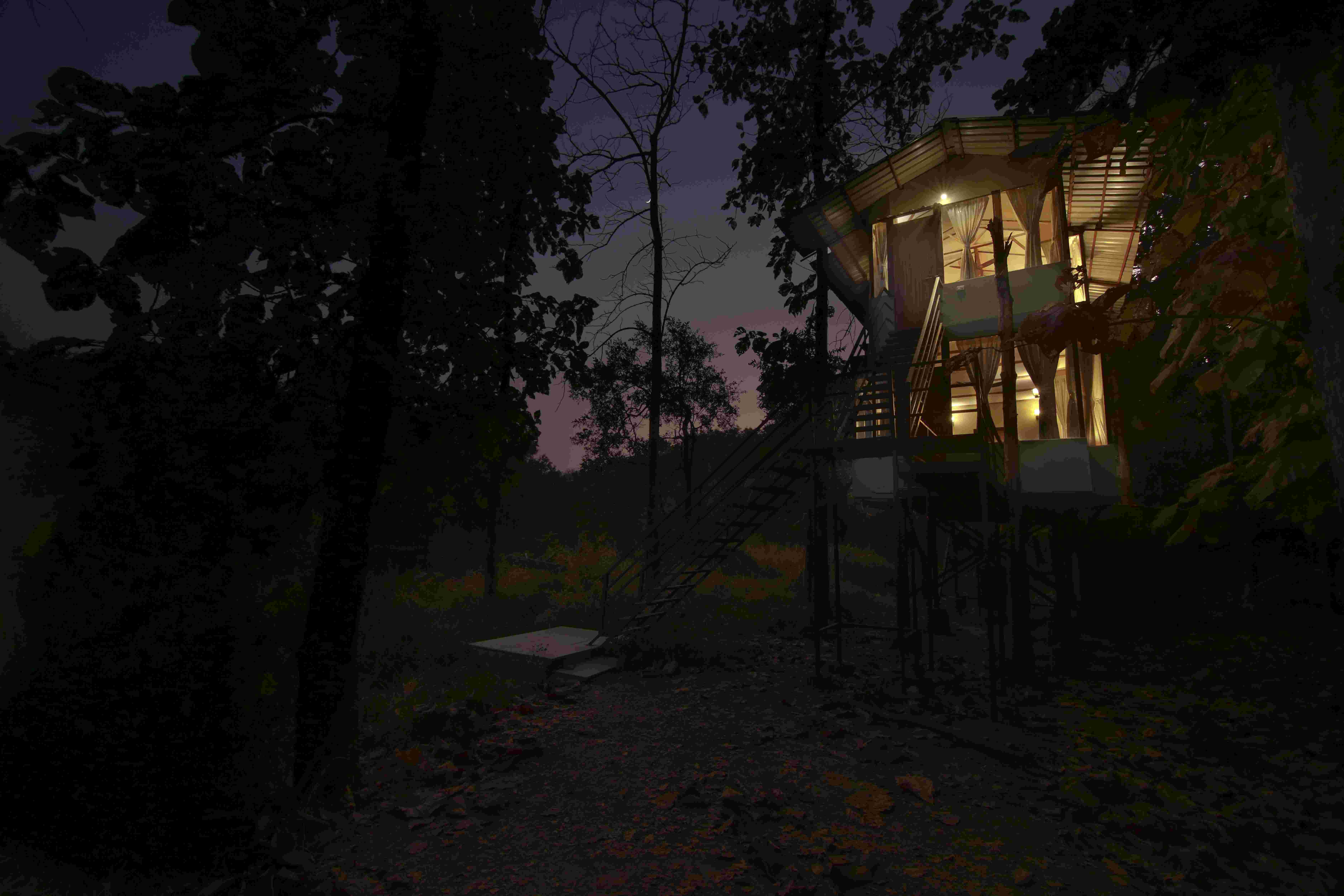 Jungle River Cabin-image-3