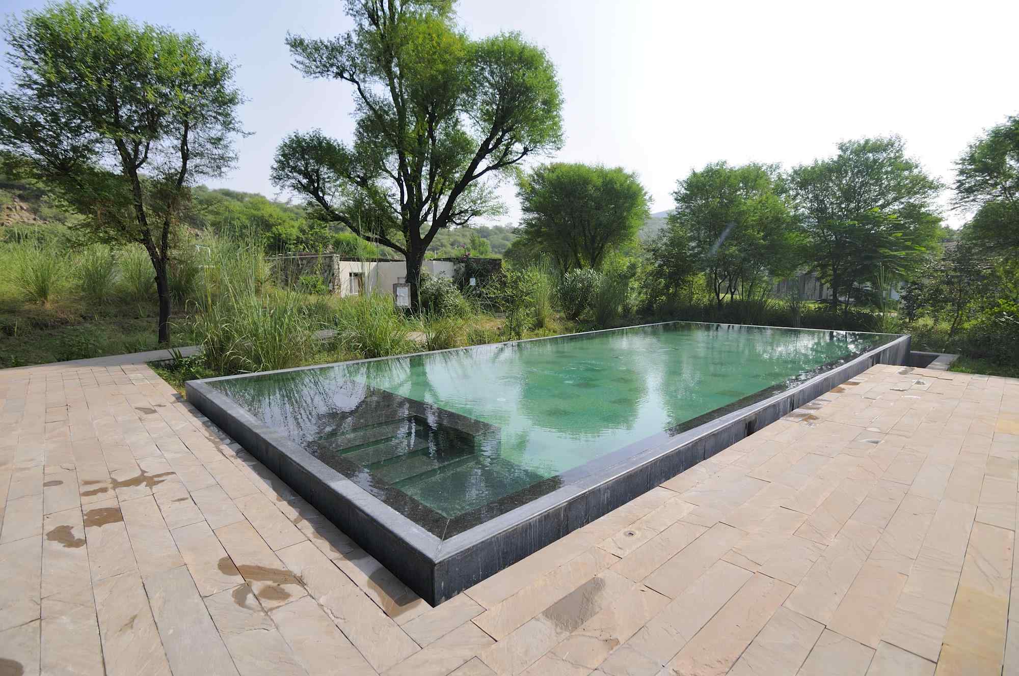 Sariska Nature & Wildlife Resort-image-2