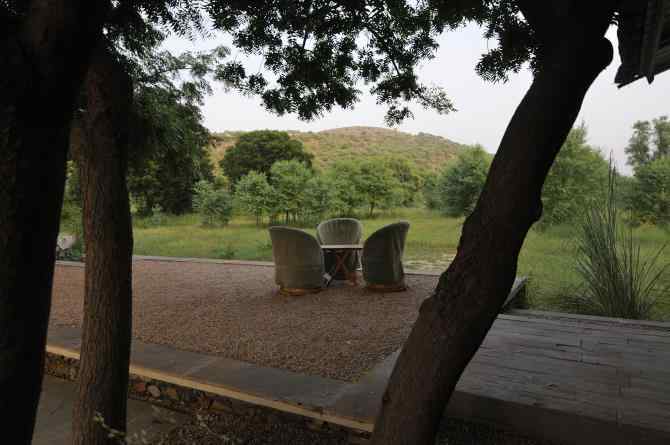 Sariska Nature & Wildlife Resort-image-3