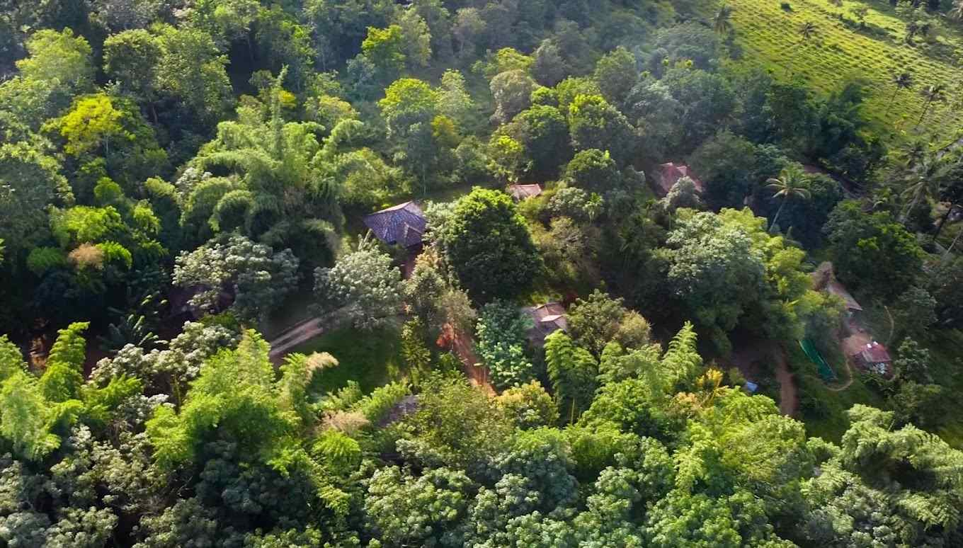 Enchanted Forest Resort, Wayanad Kerala | video